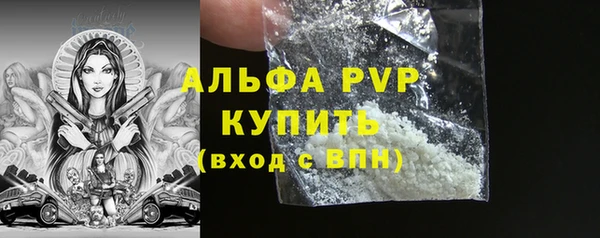 крисы Гусев