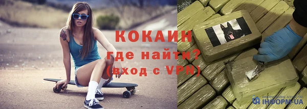 крисы Гусев