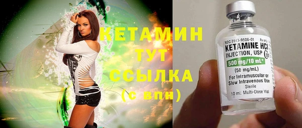 крисы Гусев